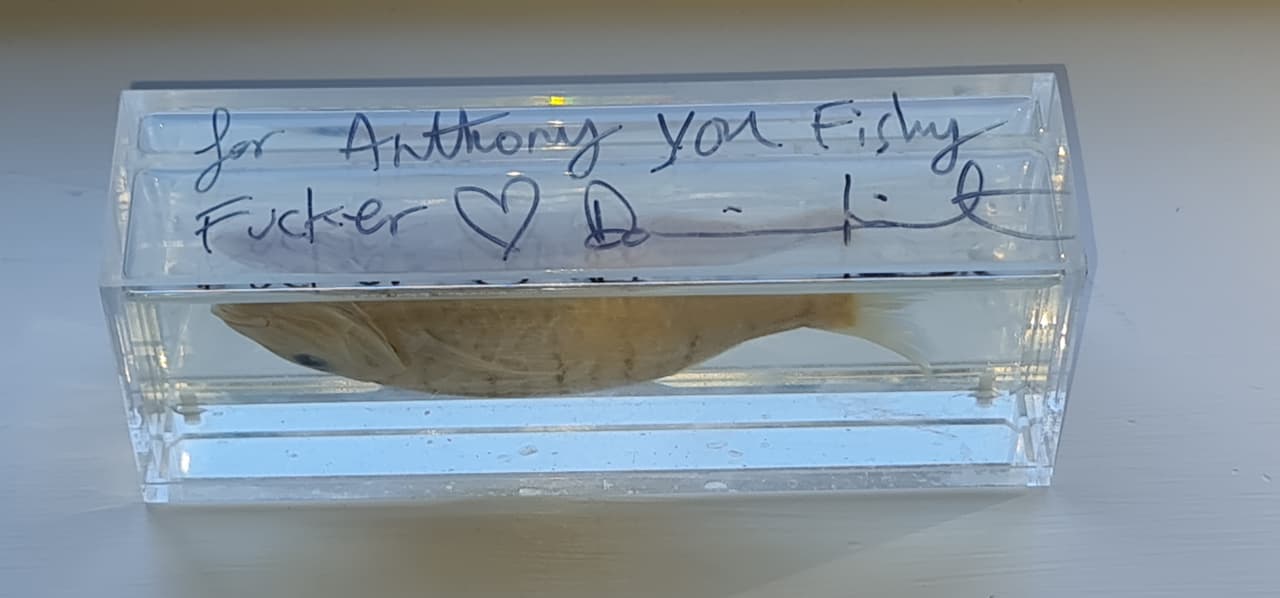 From Anthony's art collection